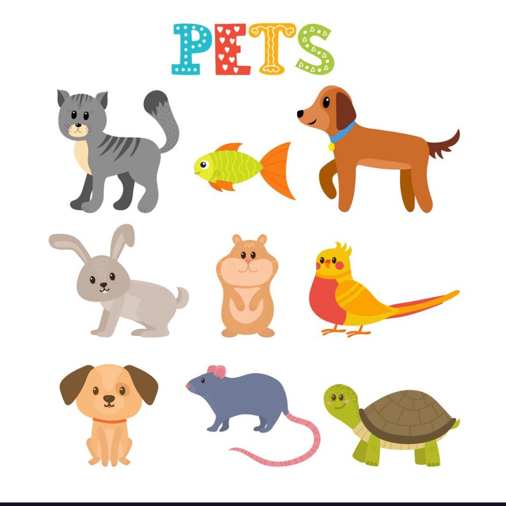 PETS - Picture 2 of 2